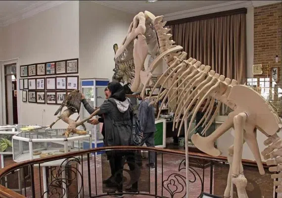 موزه تاریخ طبیعی دارآباد