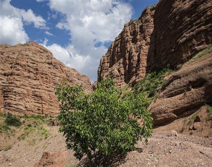 دره اندج رود، لذت از طبیعتی منحصر به فرد