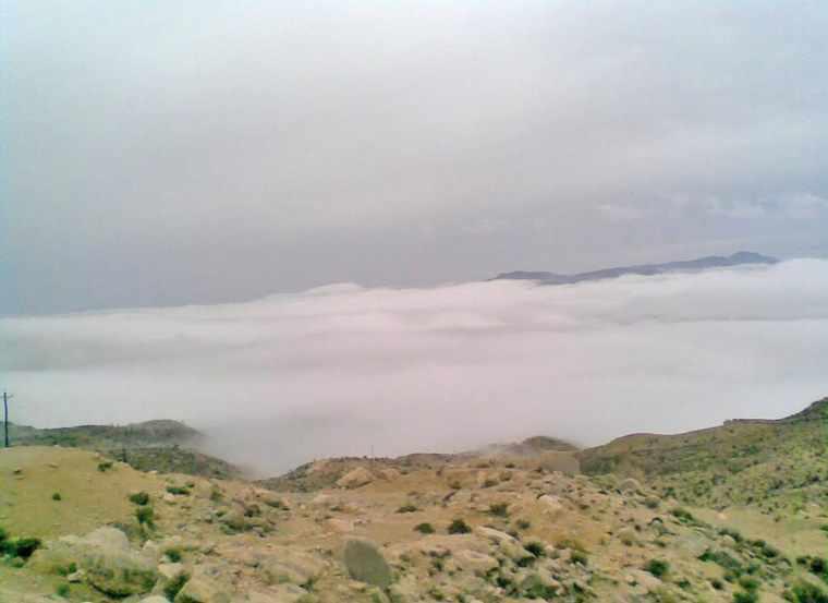 پناهگاه حیات وحش کوه سیاه