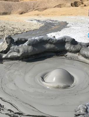 گل فشان پزم، محل درمان دردهای عضلانی و بیماری های پوستی