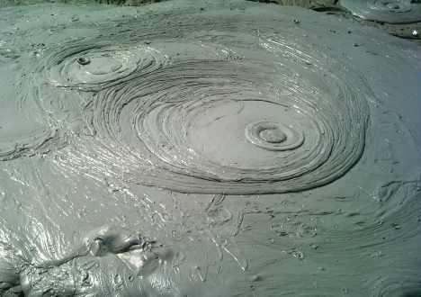 گل فشان پزم، محل درمان دردهای عضلانی و بیماری های پوستی