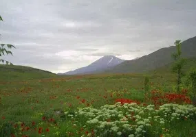 پارک ملی کنتال، پارکی در مرز ارمنستان و جمهوری آذربایجان