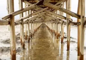بندر شرفخانه