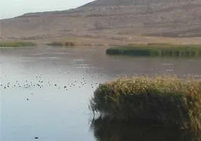 تالاب یوسفلو، چشم انداز زیبای شهرستان اهر