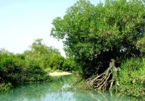 منطقه حفاظت شده و پارک ملی دریایی نایبند