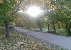 روستای الماس شبستر