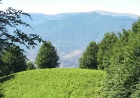 درفک، آشیانه ی پرنده ی یخی، بام گیلان و محل عبور فرشتگان