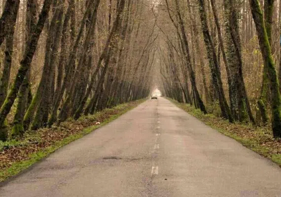 روستای صفرابسته آستانه اشرفیه گیلان