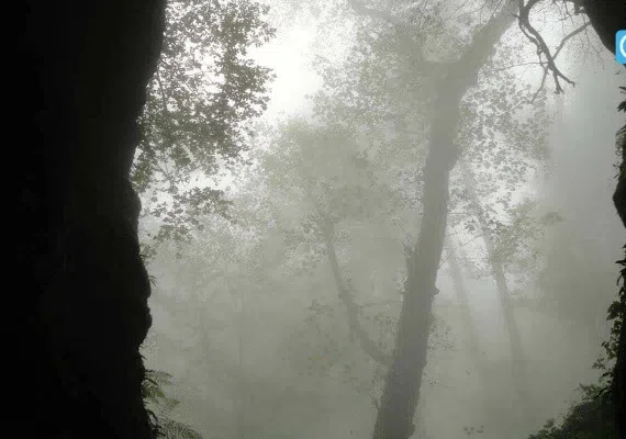 غار آویشوی، غار رودخانه ای