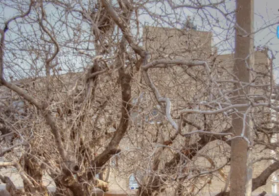 آرامگاه حافظ ابرو