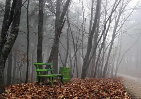 پارک جنگلی سراوان