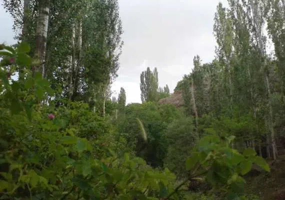 روستای مجارشین، میرزانشین اسکو