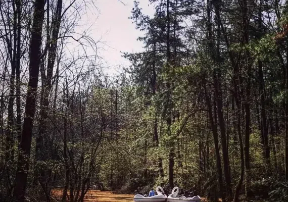 بندر کیاشهر