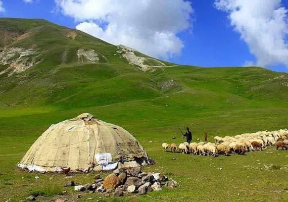 جنگل ارسباران، از زیباترین جنگل های ایران