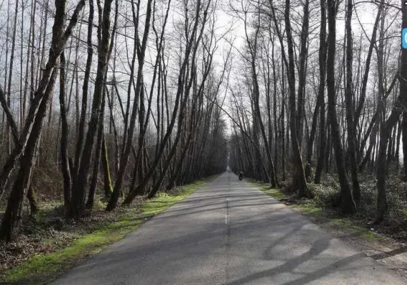 روستای صفرابسته آستانه اشرفیه گیلان