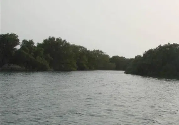 منطقه حفاظت شده و پارک ملی دریایی نایبند