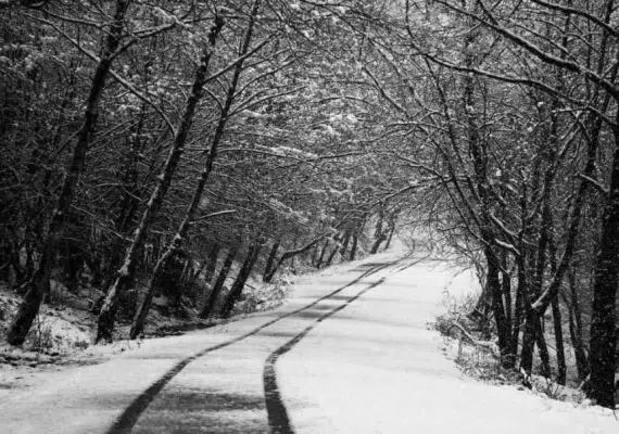 پارک جنگلی سراوان