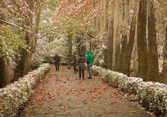 بوستان جمشیدیه، بوستان سنگی شمال تهران