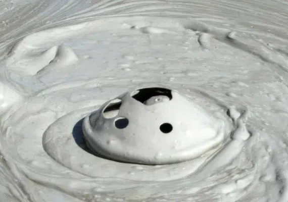 گل فشان تنگ، حیرت انگیز ترین پدیده ی سیستان و بلوچستان