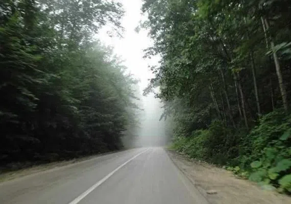 پارک جنگلی توسکا تهران