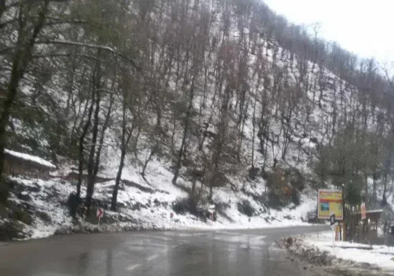 ماسوله؛ دیار خانه های زرد رنگ و گلدان های شمعدانی