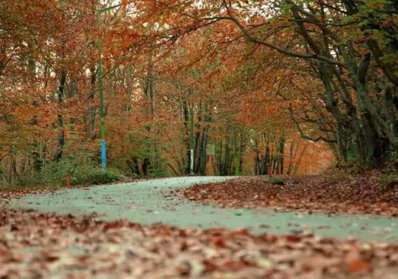 پارک جنگلی سراوان