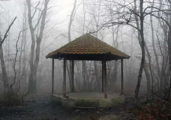 پارک جنگلی سراوان