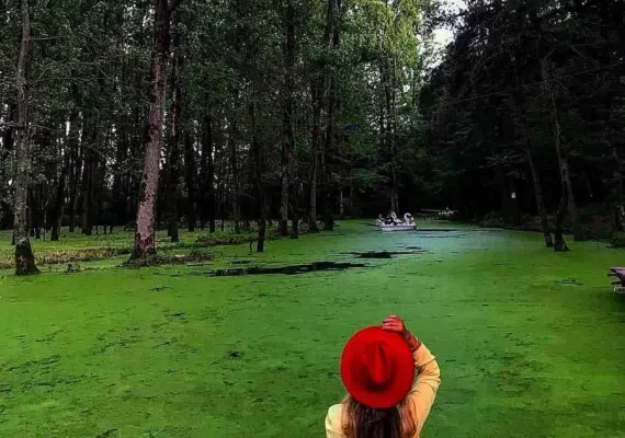 پارک جنگلی سراوان