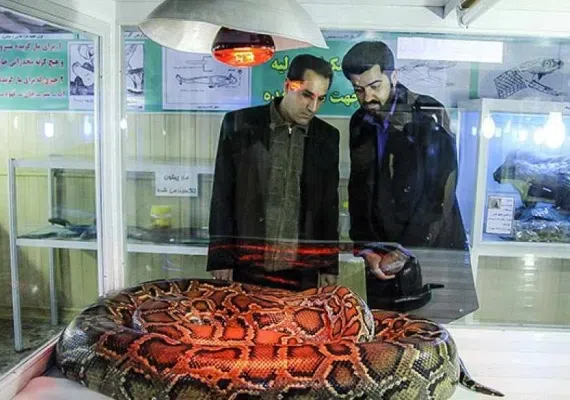پارک جنگلی ناژوان اصفهان