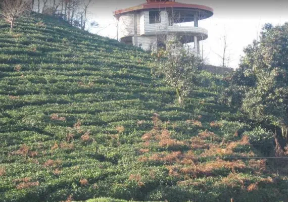 شهرستان سیاهکل