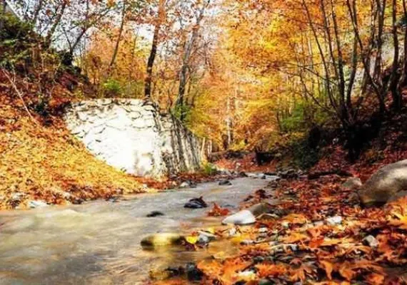 روستای برغان، بهشتی در ساوجبلاغ