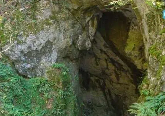 غار آویشوی، غار رودخانه ای