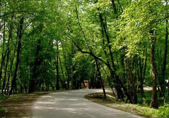 پارک جنگلی پردیسان، پارکی با طبیعتی جذاب