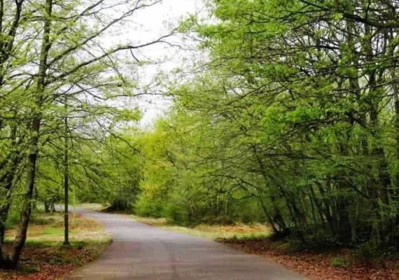 پارک جنگلی سراوان