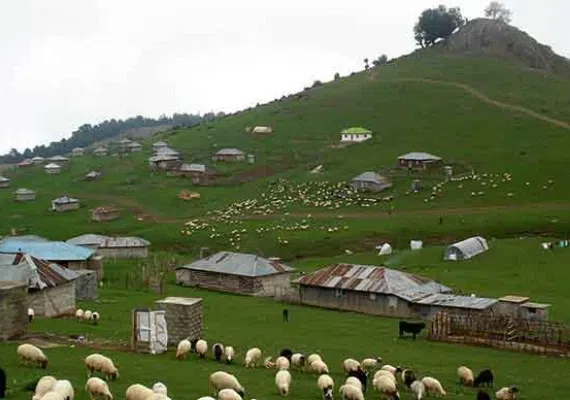 جنگل ارسباران، از زیباترین جنگل های ایران