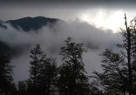 غار آویشوی