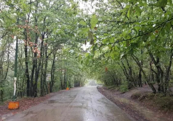 پارک جنگلی سراوان