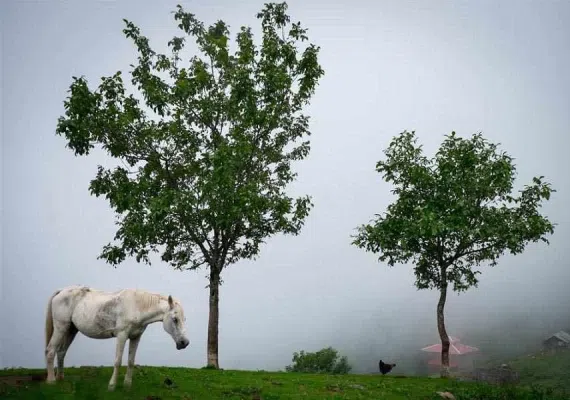 روستای اولسبلنگاه ماسال