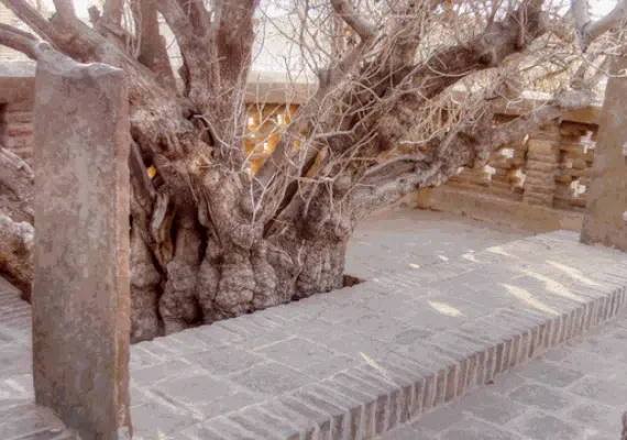 آرامگاه حافظ ابرو