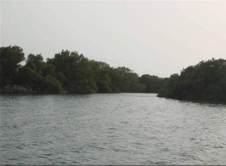 منطقه حفاظت شده و پارک ملی دریایی نایبند