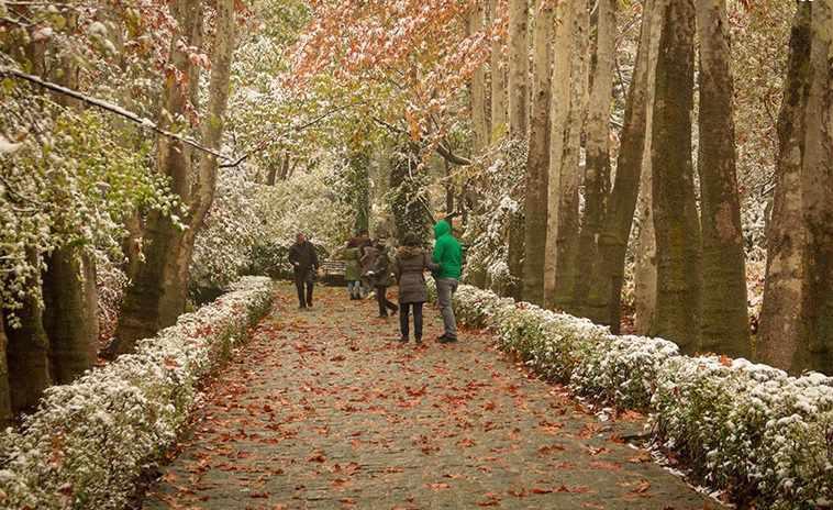 بوستان جمشیدیه، بوستان سنگی شمال تهران
