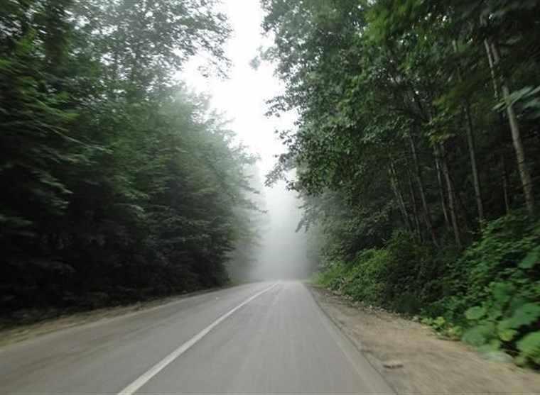 پارک جنگلی توسکا تهران