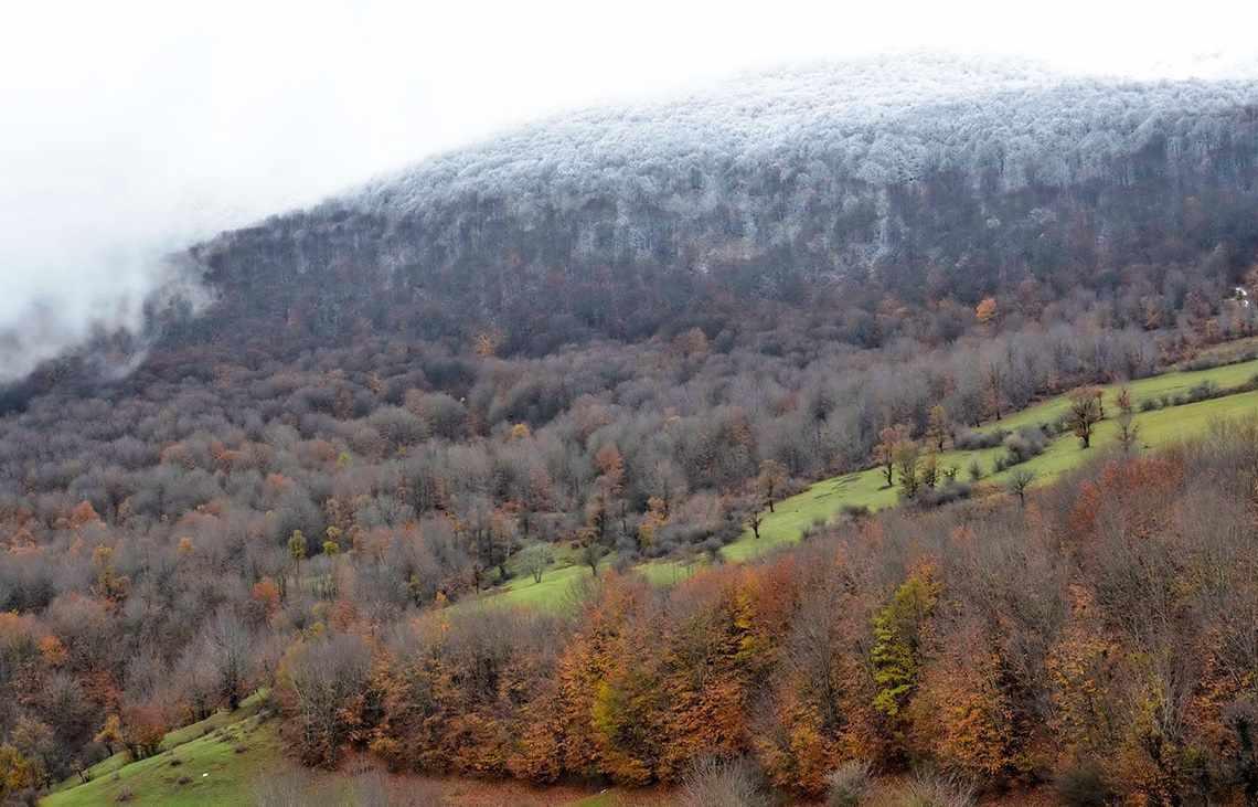 درفک، آشیانه ی پرنده ی یخی، بام گیلان و محل عبور فرشتگان