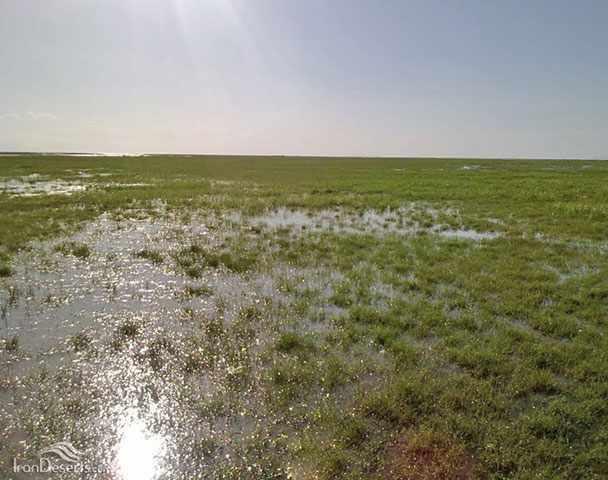 تالاب بین المللی قره قشلاق بناب