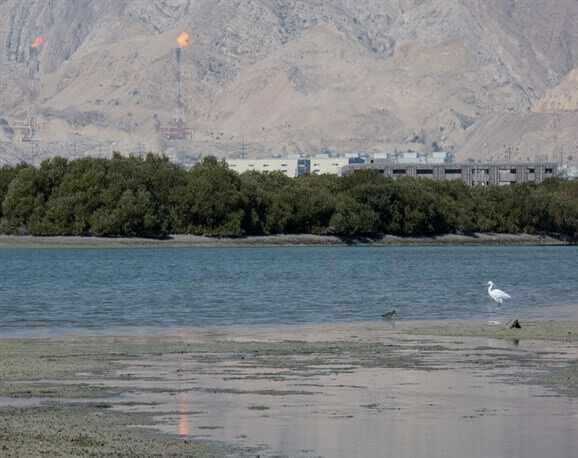منطقه حفاظت شده و پارک ملی دریایی نایبند