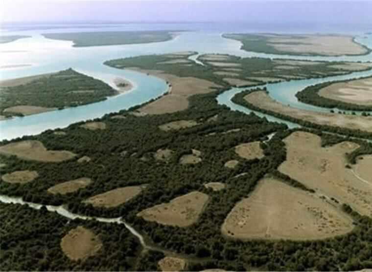 منطقه حفاظت شده و پارک ملی دریایی نایبند