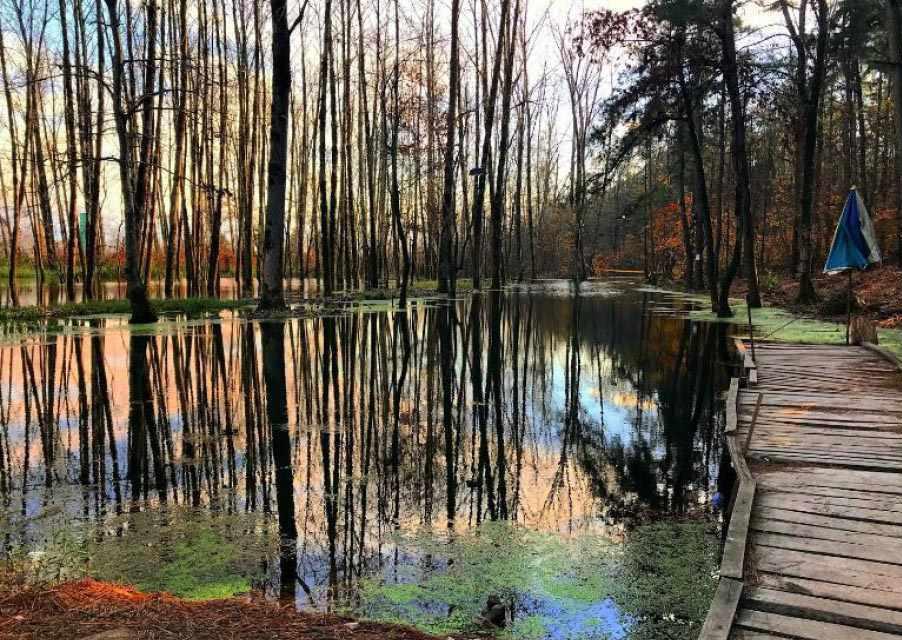 پارک جنگلی سراوان