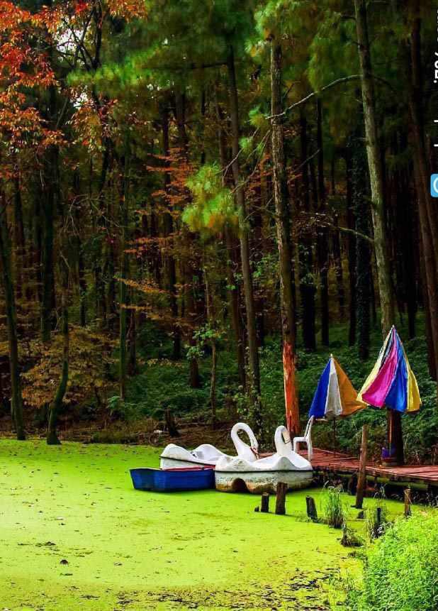 پارک جنگلی سراوان