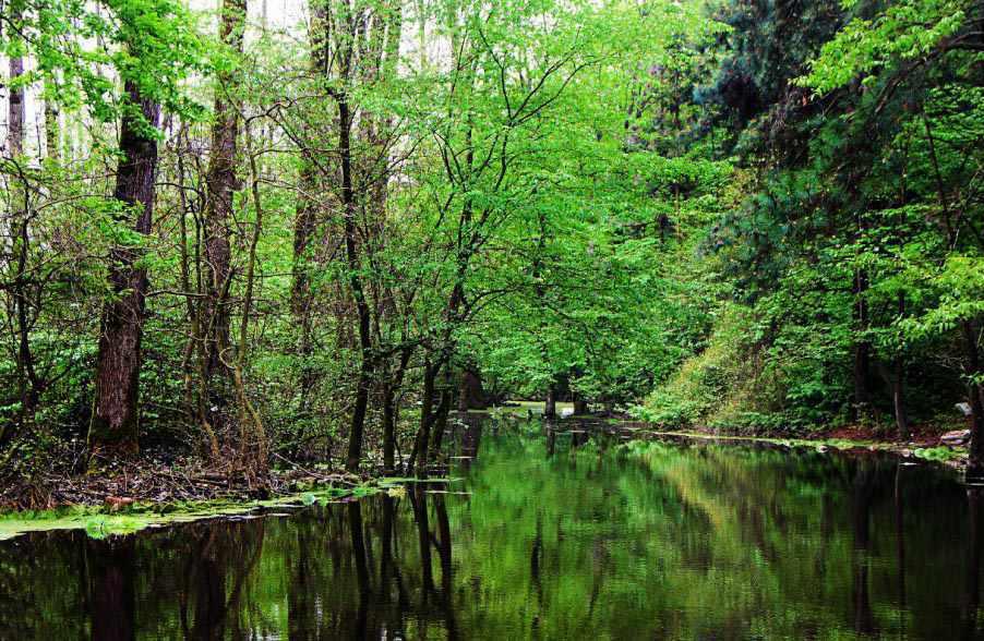 بندر کیاشهر