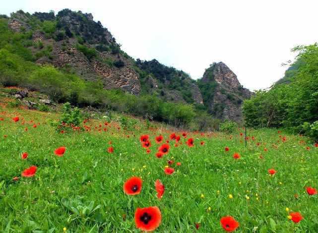 روستای سیاهکشان